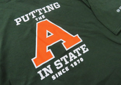 putting the A online